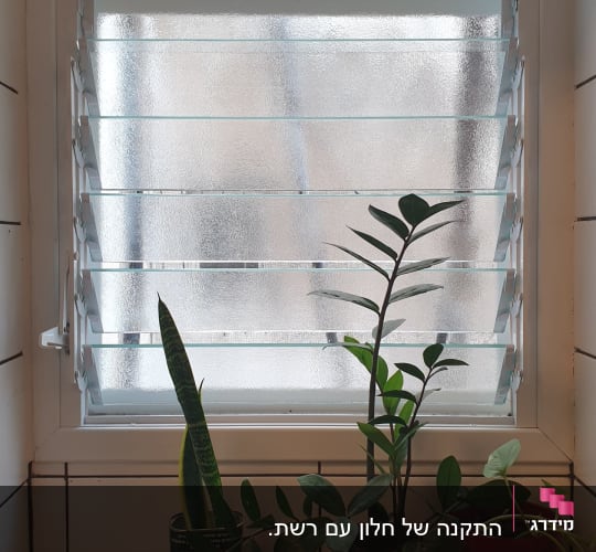 תריסי אלומיניום בחלון עם זכוכית חלבית